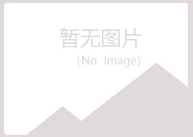 宝山区雪萍能源有限公司